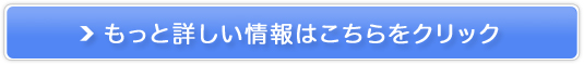 フライビシット販売サイトへ